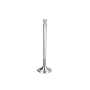 R6758/SARCR Intake Valve FRECCIA - Top1autovaruosad