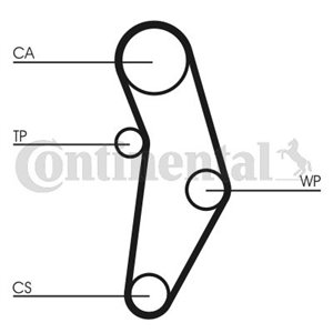 CT 1049 WP1 Hammasrihma kpl. (rihm + rull + veepump) sobib: ABARTH 124 SPIDER