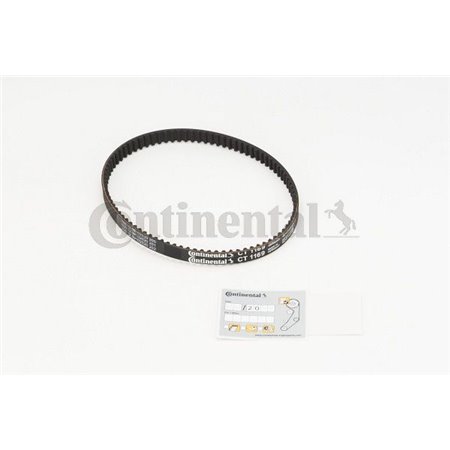 CT1169 Timing Belt CONTINENTAL CTAM