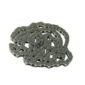 E91000 Timing chain  number of links  124 - Top1autovaruosad