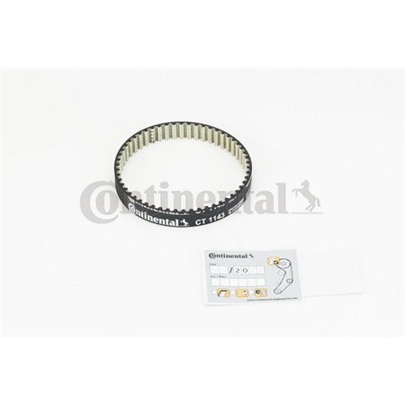 CT1143 Timing Belt CONTINENTAL CTAM