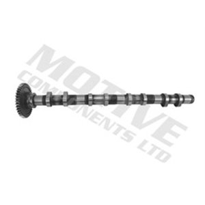 T4342 Camshaft MOTIVE - Top1autovaruosad