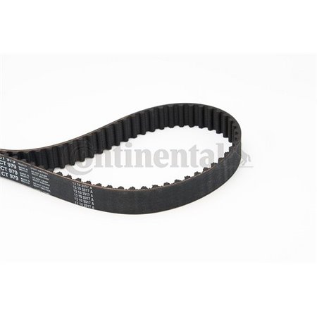 CT979 Timing Belt CONTINENTAL CTAM