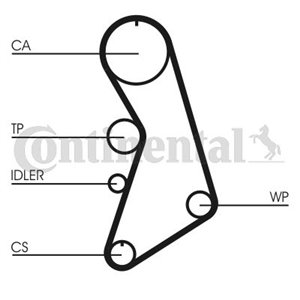 CT 909 WP5 Hammasrihma kpl. (rihm + rull + veepump) sobib: AUDI A4 B5, A4 B6