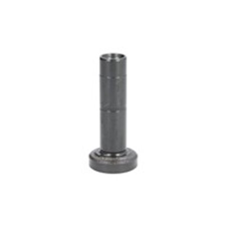 FE26288 Valve tappet (mechanical, diameter 17,4/33mm, height 75,5mm) fits