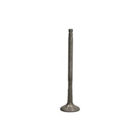 R6285/RNT Exhaust Valve FRECCIA