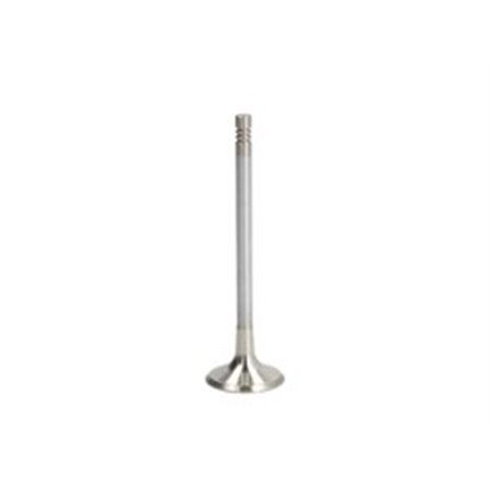 R6705/BMARCR Exhaust Valve FRECCIA