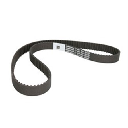 CT1077 Timing Belt CONTINENTAL CTAM