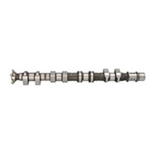 T4016 Camshaft MOTIVE - Top1autovaruosad