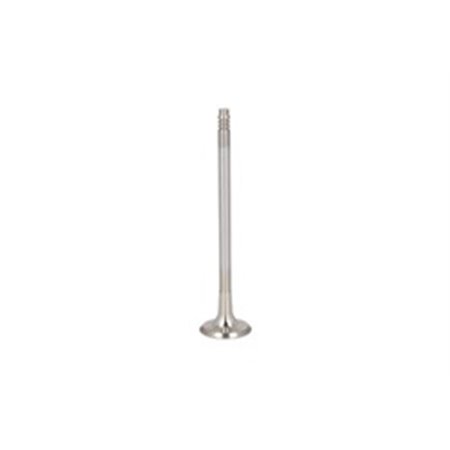 R6856/BMARCR Exhaust Valve FRECCIA