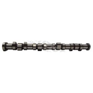 T2129 Camshaft MOTIVE - Top1autovaruosad