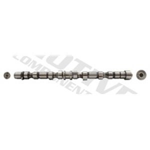 T2228 Camshaft MOTIVE - Top1autovaruosad