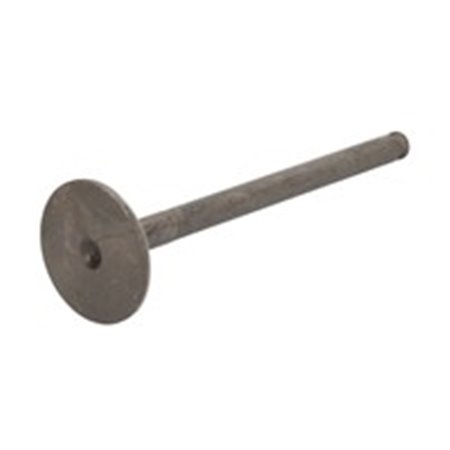 R4760/RARNT Exhaust Valve FRECCIA