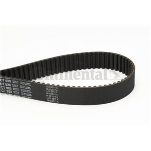 CT920 Timing Belt CONTINENTAL CTAM - Top1autovaruosad