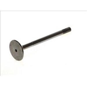 R4919/BMCR Intake Valve FRECCIA - Top1autovaruosad