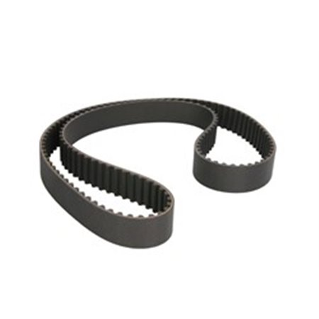 CT1051 Timing Belt CONTINENTAL CTAM