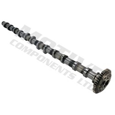 T4343 Camshaft MOTIVE