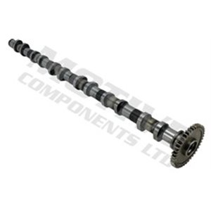 T4344 Camshaft MOTIVE - Top1autovaruosad