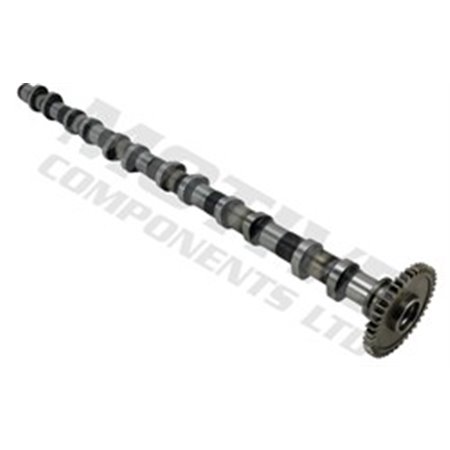 T4344 Camshaft MOTIVE