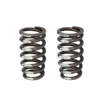 RE531223-FP Valve spring fits: JOHN DEERE 4045 6068