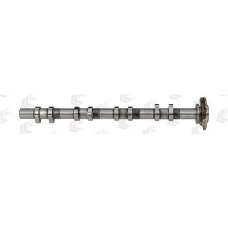 CAM920 Camshaft (exhaust side) (exhaust valves) fits: FORD TRANSIT 2.4D 