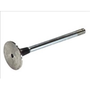 R3598/RCR Intake Valve FRECCIA - Top1autovaruosad