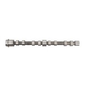 AMC647272 Camshaft (exhaust side) (exhaust valves) fits: IVECO DAILY III, D