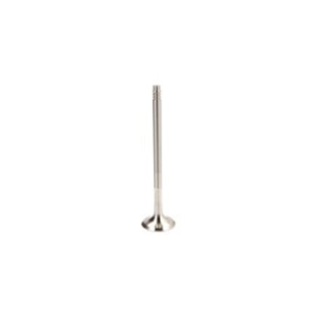 R6731/BM Exhaust Valve FRECCIA