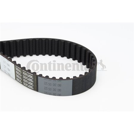 CT1184 Timing Belt CONTINENTAL CTAM