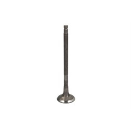 R6740/RNT Exhaust Valve FRECCIA