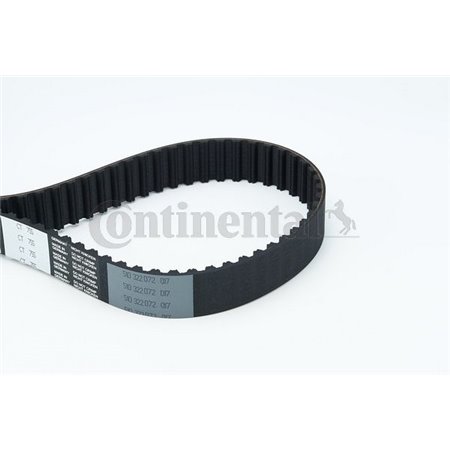 CT755 Timing Belt CONTINENTAL CTAM