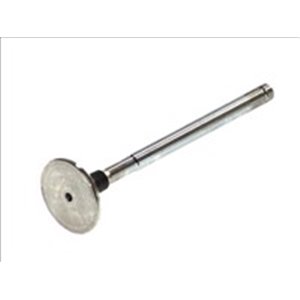 R3599/RCR Exhaust Valve FRECCIA - Top1autovaruosad