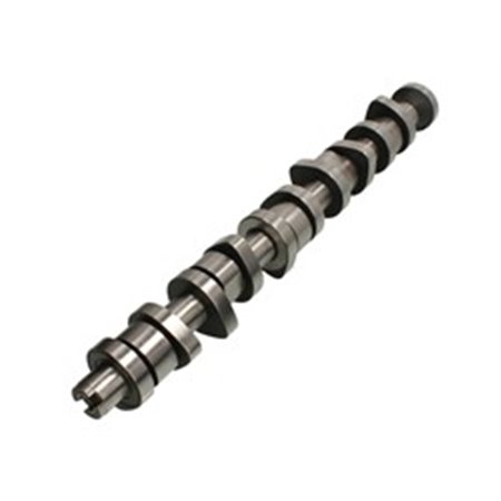 CAM916 Camshaft AE