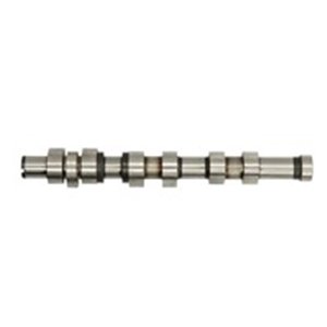 T2174 Camshaft MOTIVE - Top1autovaruosad