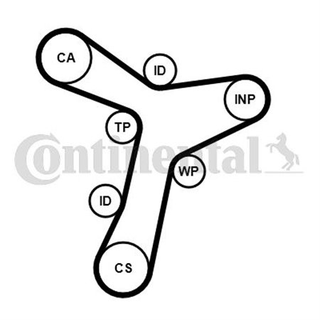 CT1229 Timing Belt CONTINENTAL CTAM