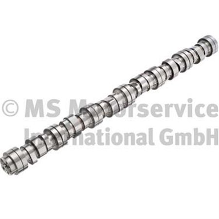 20100712003 Camshaft BF