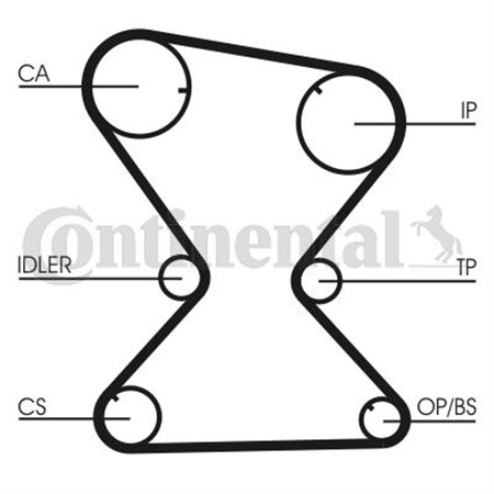 CT842 Timing Belt CONTINENTAL CTAM