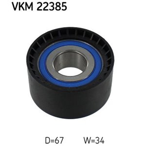 VKM 22385...