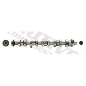 T069S Camshaft MOTIVE - Top1autovaruosad