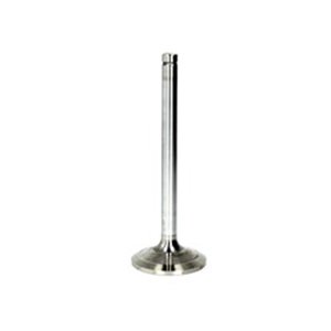 6256/SCR Intake valve (49x10x136,6mm) fits: MAN fits: MAN EL, EM, G, G90, 