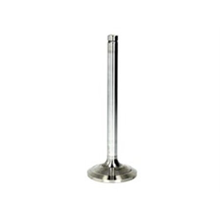 R6256/SCR Intake Valve FRECCIA