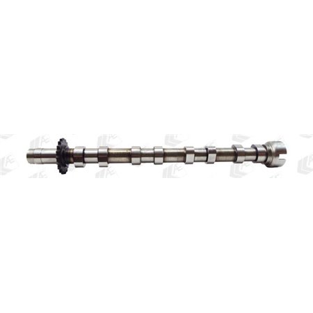 CAM975 Camshaft AE