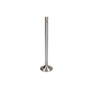 4096/RCR Intake valve (45x9,5x181,5mm)