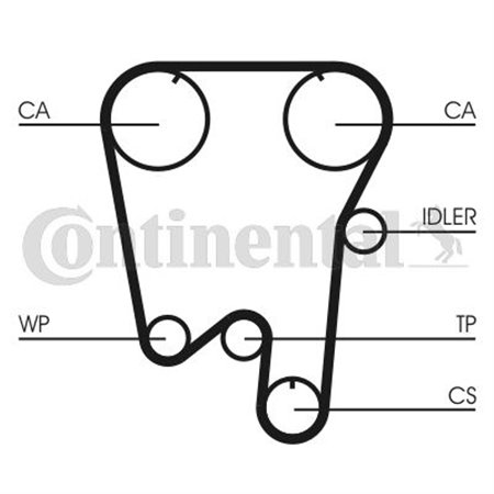 CT855 Timing Belt CONTINENTAL CTAM