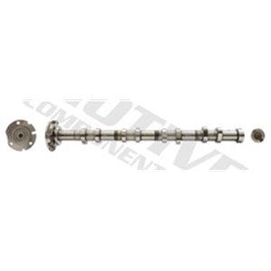 MOTT1944 Camshaft (exhaust side) (exhaust valves) fits: CITROEN JUMPER; FI