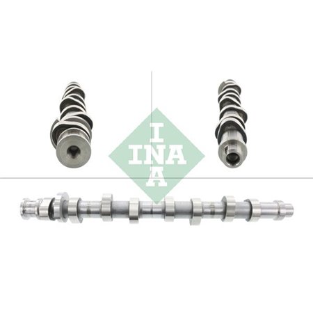 428 0161 10 Nokka-akseli Schaeffler INA