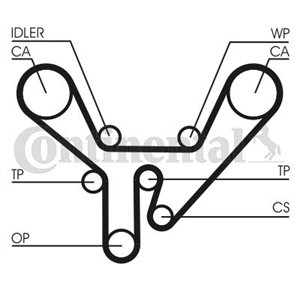 CT 727 Timing belt fits: AUDI 100 C4, A6 C4, A8 D2, V8 3.6/3.7/4.2 10.88