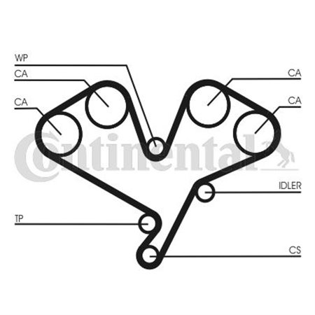 CT1113 Hammasrihm CONTINENTAL CTAM