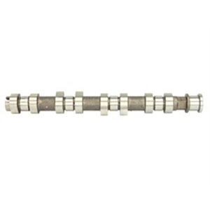 CAM907 Camshaft (exhaust side) (exhaust valves) fits: CHEVROLET AVEO; NI