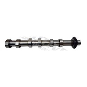 T6552 Camshaft MOTIVE - Top1autovaruosad